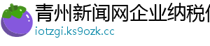 青州新闻网企业纳税信息